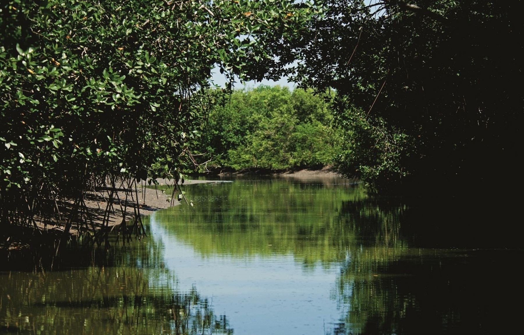 Blog Conocer el Perú Departamento de Tumbes eMarket Perú